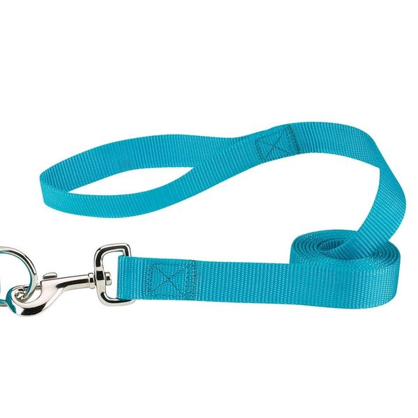Party Animal 4 ft. x 0.62 in. Nylon Dog Leash Lead, Blue PA1669944